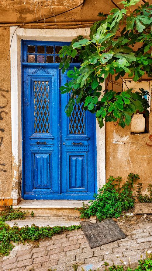 Free Striking blue door with lush greenery on an old, rustic facade. Stock Photo