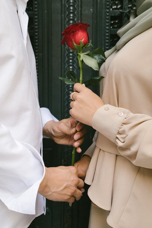 A Couple Holding a Red Rose