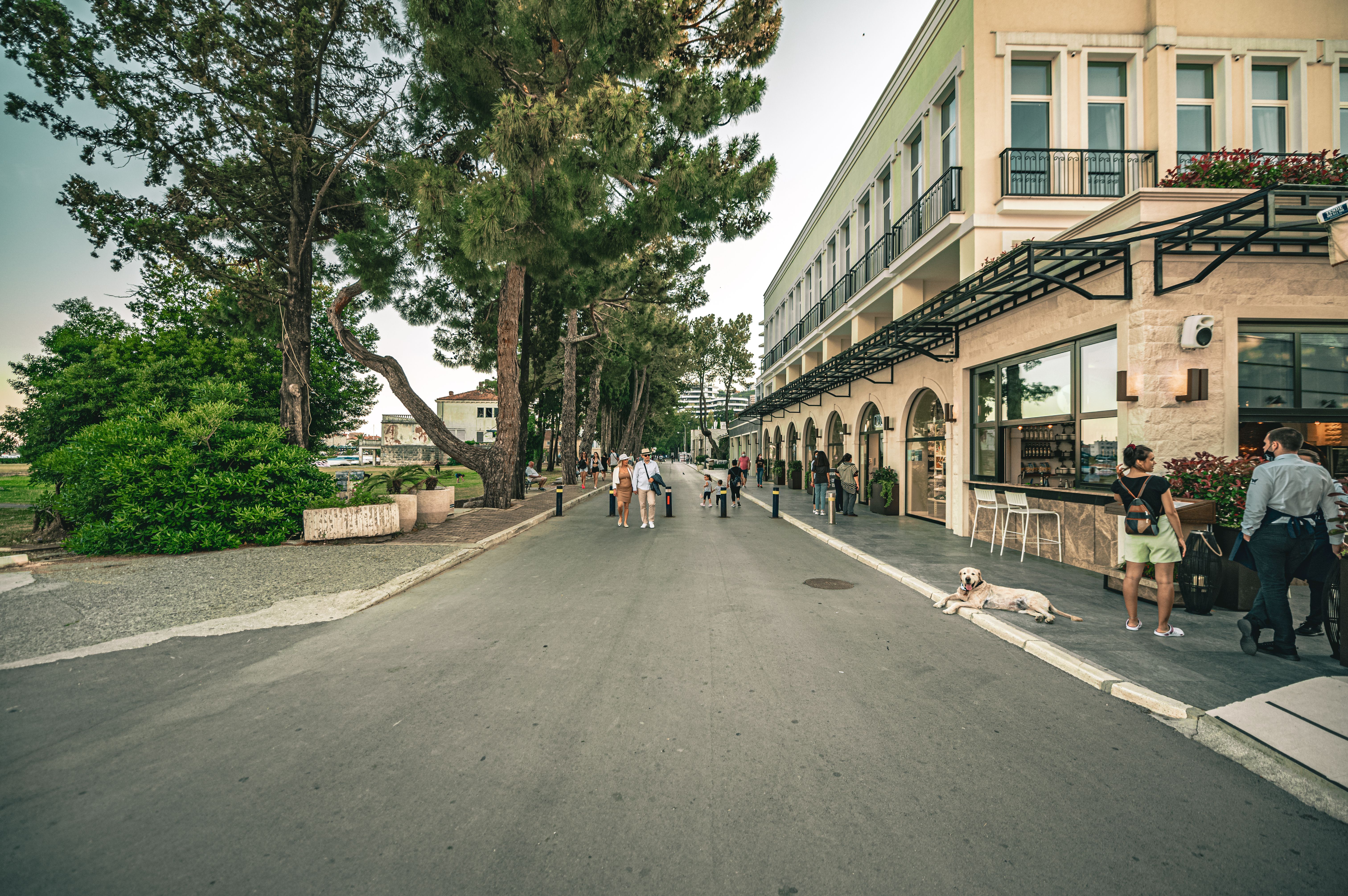 Budva food and travel