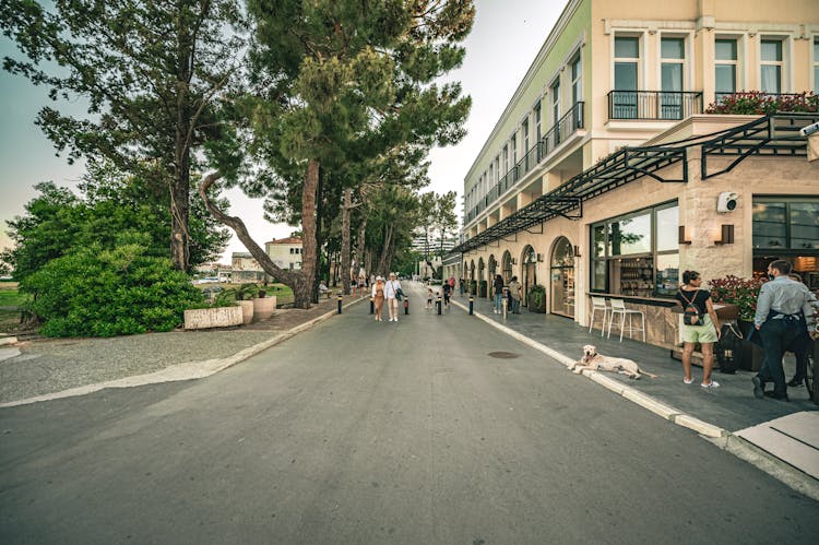 A Street In Budva