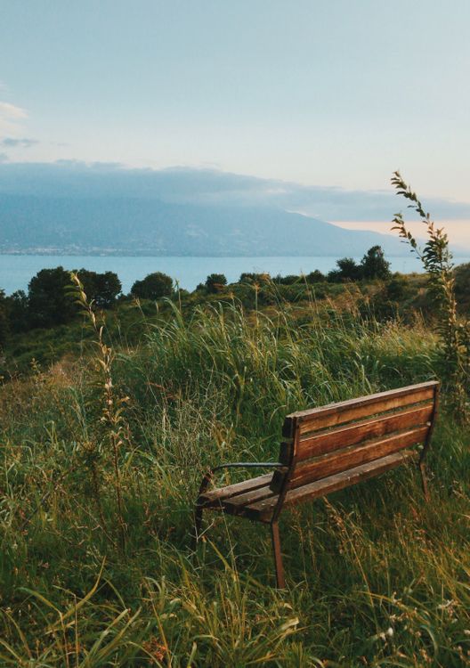 A Wooden Bench in a Picturesque Location · Free Stock Photo