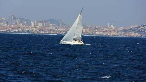城市景觀, 夏季氛圍, 帆船 的 免費圖庫相片