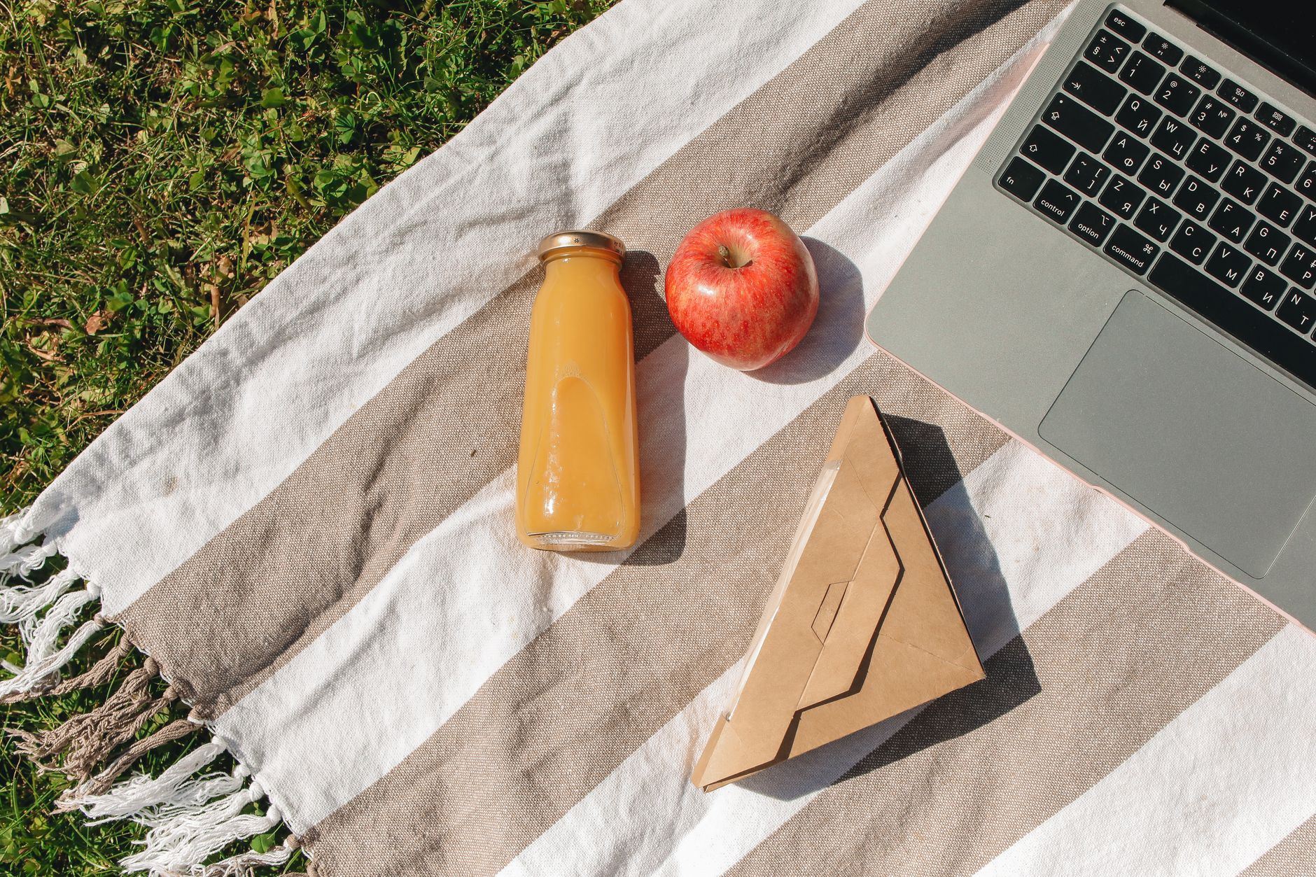 A picnic arrangement with a laptop, juice bottle, and apple on a striped blanket outdoors.