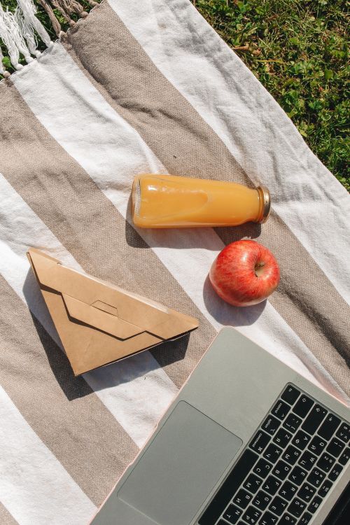 Free Flat lay of picnic essentials: apple, juice, packaging, and laptop on blanket. Stock Photo