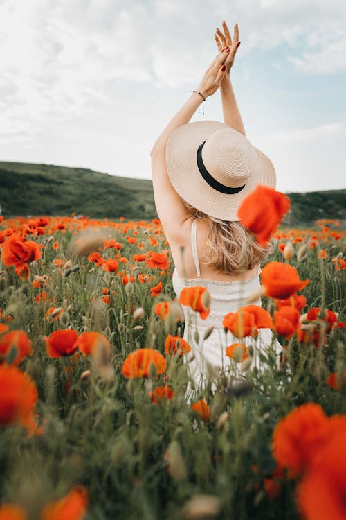 Romantic female in hat standing in field with poppy flowers