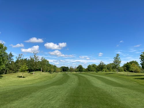 Бесплатное стоковое фото с голубое небо, гольф, деревья