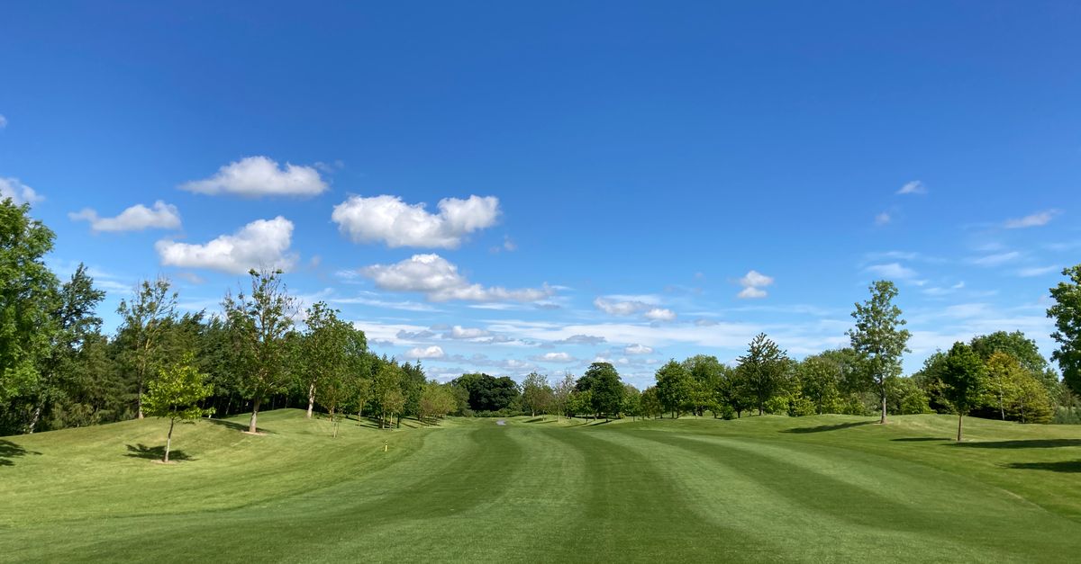Expansive view of a lush golf course with trees under a clear blue sky in Dublin, Ireland.