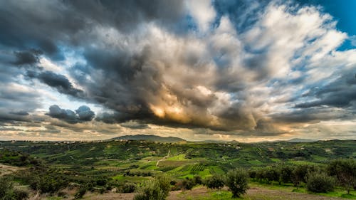 Green Forest Under Cloudy Sky