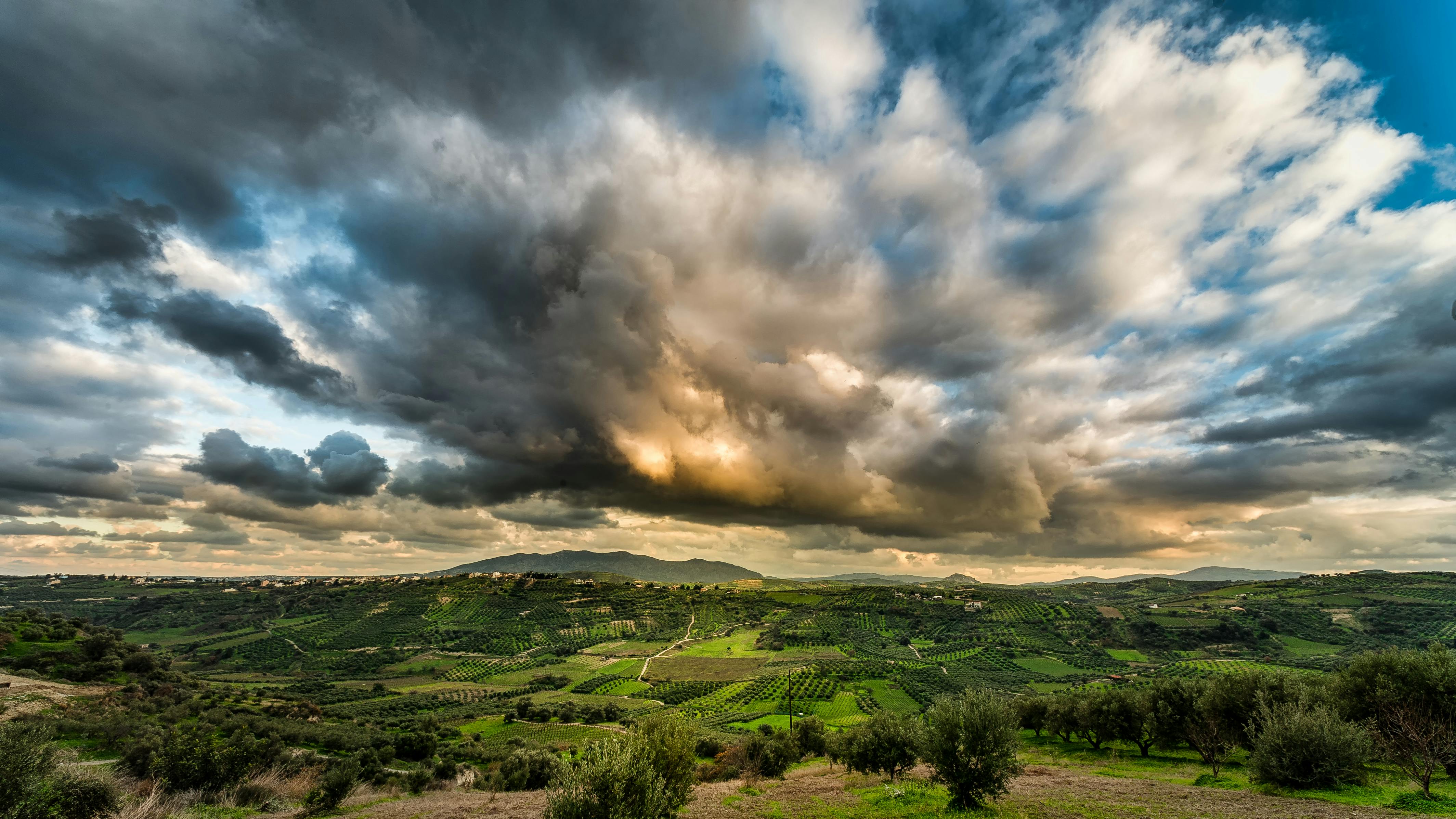 Green Forest Under Cloudy Sky · Free Stock Photo