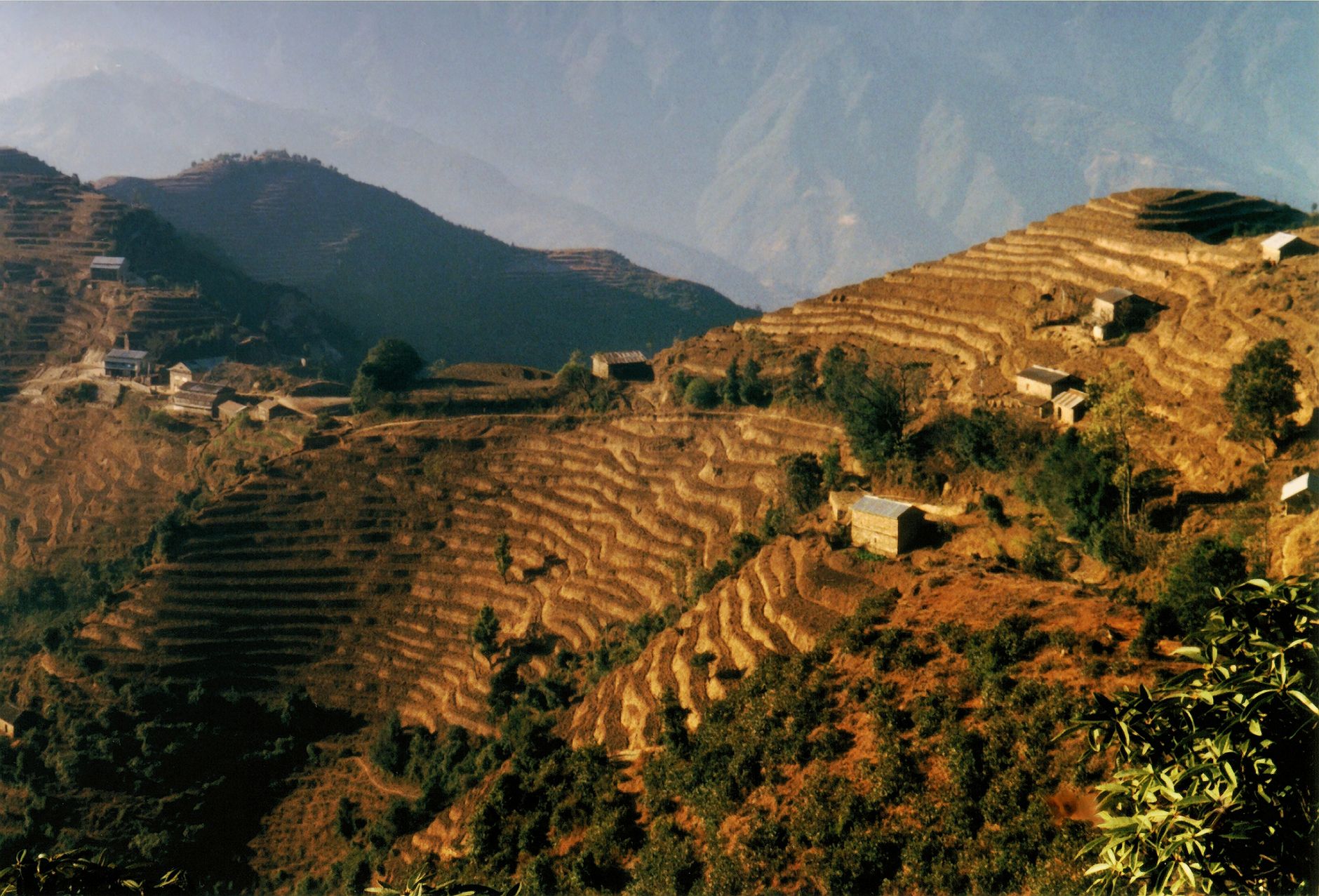 A breathtaking view of rice terraces in rural Nepal, showcasing natural beauty and traditional agriculture.