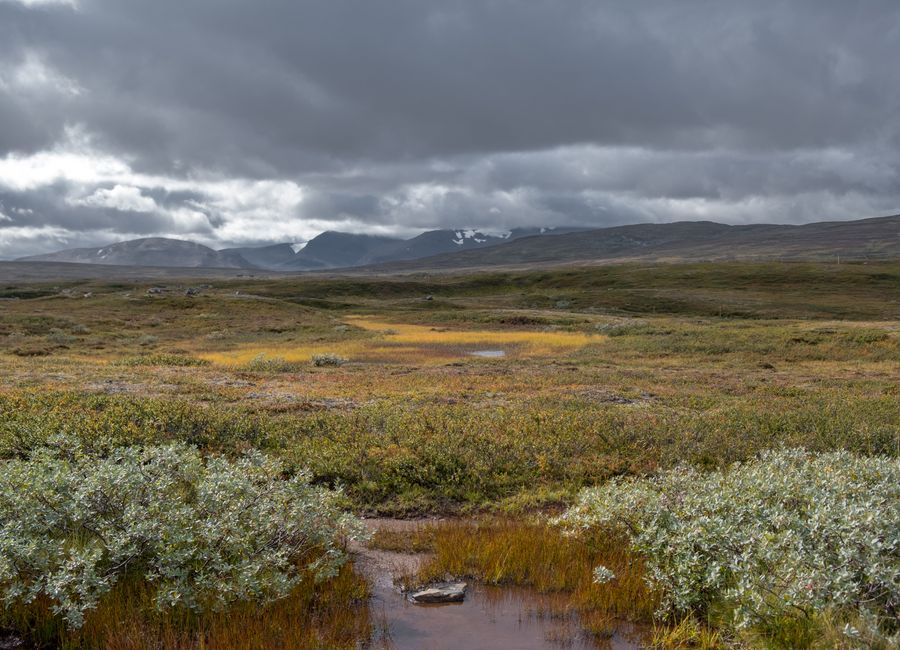 Scenic view of Jämtland's dramatic sky and lush meadow, Sweden.