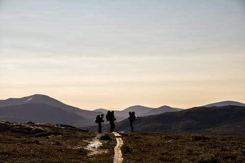 冒險, 小徑, 山 的 免费素材图片