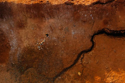 Drone Shot of People Standing on Cracked Dry Land