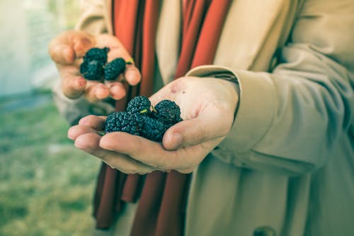 Gratis stockfoto met antioxidant, blackberries, detailopname