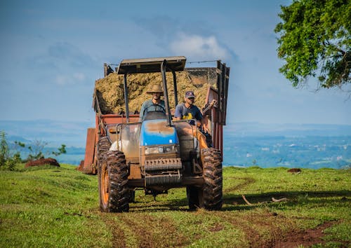 Men on Tractor Driving with Hay