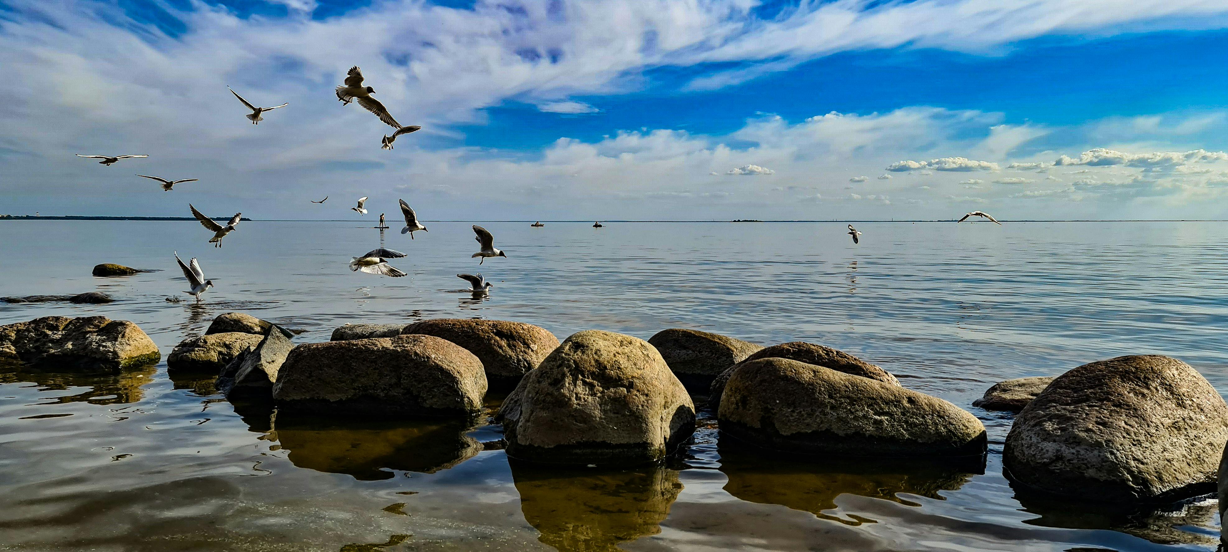 Verbeter je Bandeja: 5 Essentiële Tips voor Succes