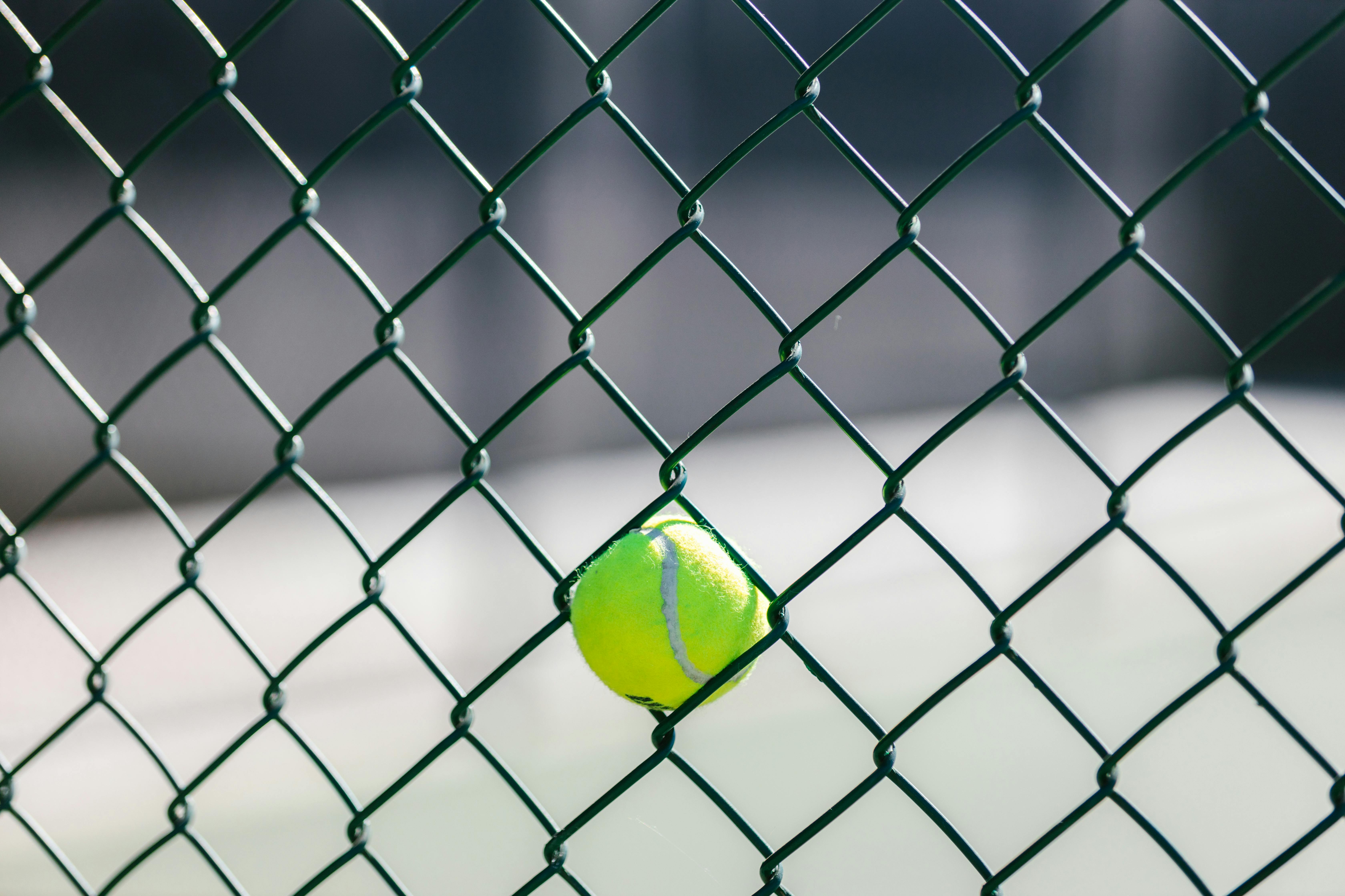 close up view of a tennis ball on a wire fence