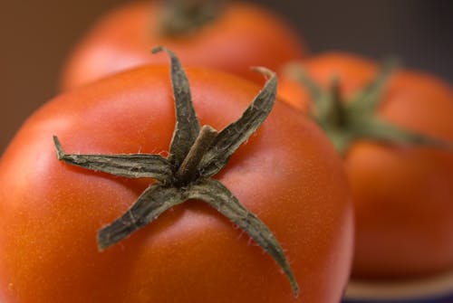 Free Close Up Photo of a Tomato Stock Photo
