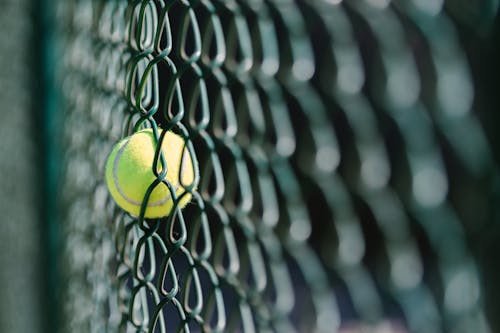 Close-Up View of a Tennis Ball on a Wire Fence