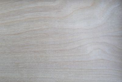 European Oak