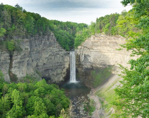 Free A breathtaking aerial shot of Taughannock Falls surrounded by lush greenery in New York. Stock Photo
