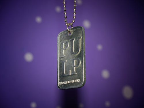 Free stock photo of accessory, cool, dog tag