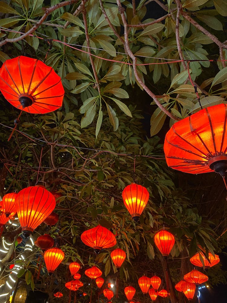 Photo Of Hanging Red Lanterns