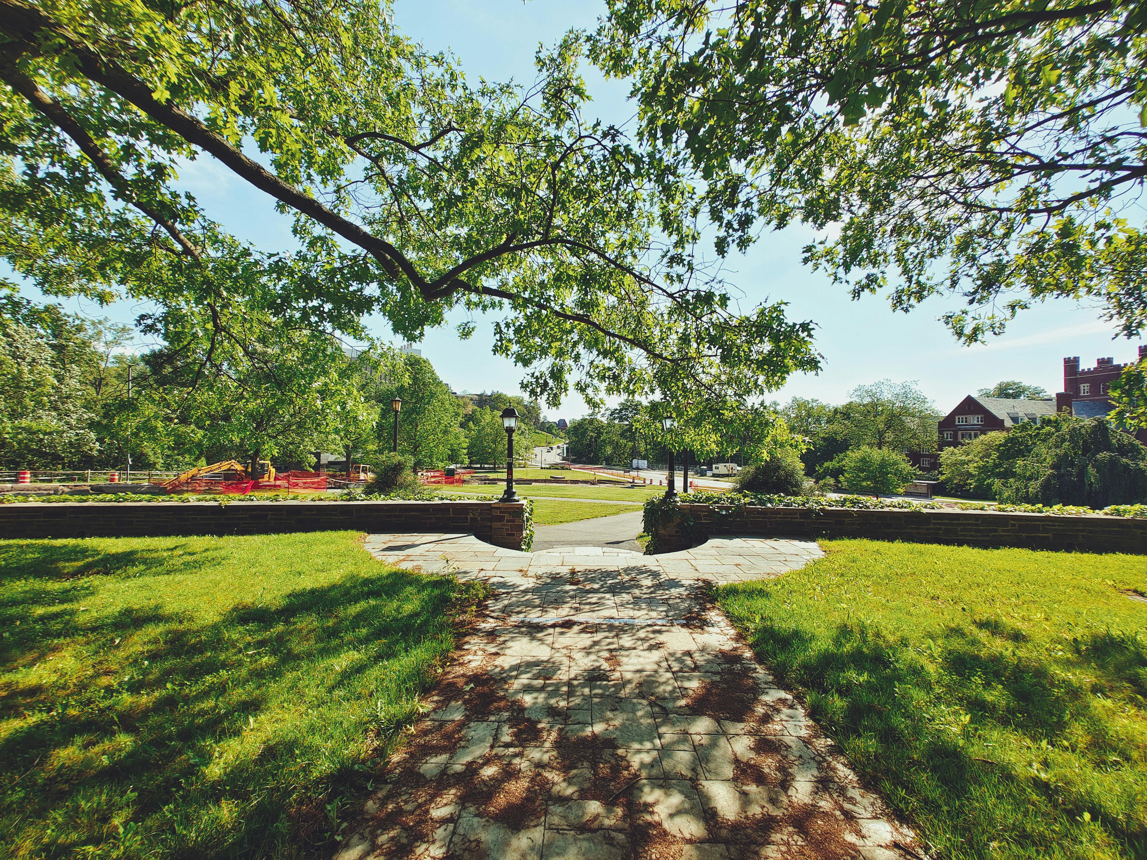 Jamestown Parks and Recreation Commission candidates discuss outdoor pool, selling property — Photo by David Yu on Pexels