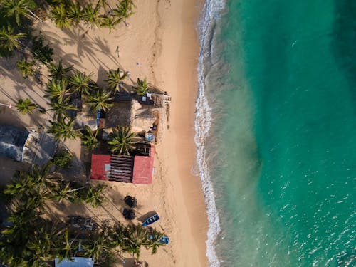 ağaçlar, deniz kıyısı, drone çekimi içeren Ücretsiz stok fotoğraf