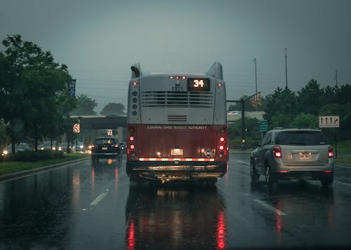 arabalar, ıslak, Motorlu Taşıtlar içeren Ücretsiz stok fotoğraf