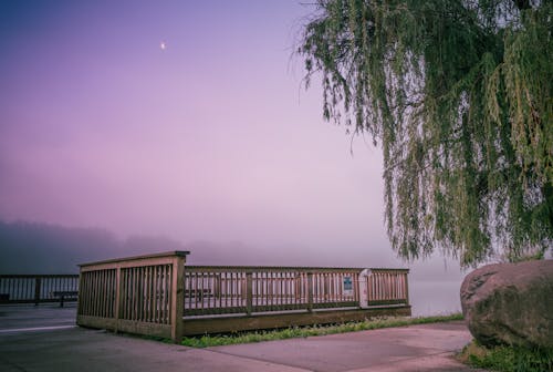 Brown Wooden Boardwalk on the Lake