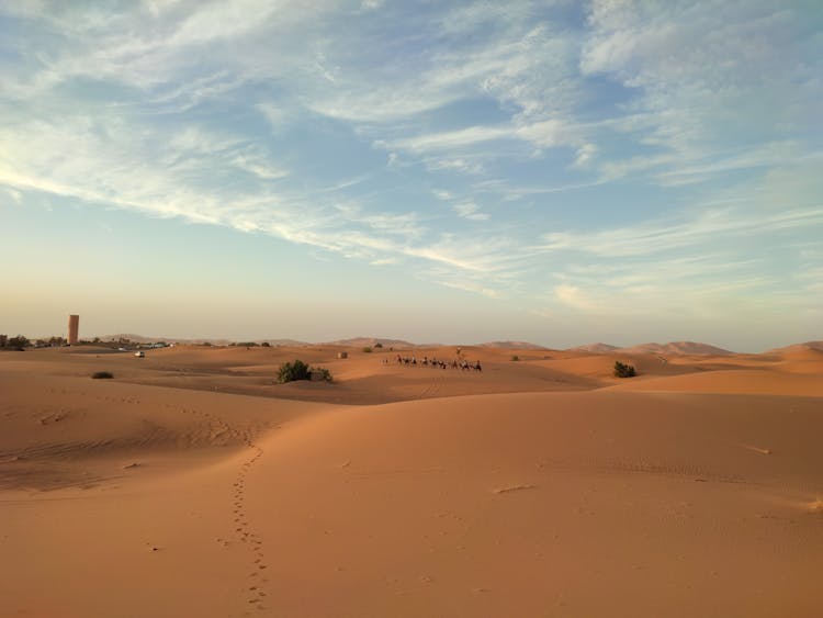 People Riding Camels At The Desert