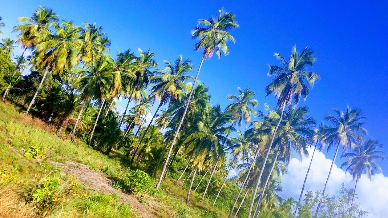 Get Foto Stok Gratis Tentang Natureza Praia For Android Free Wallpaper Foto Stok Gratis Tentang Natureza Praia For Android