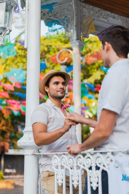 Fotos de stock gratuitas de amantes, cara a cara, cariñoso