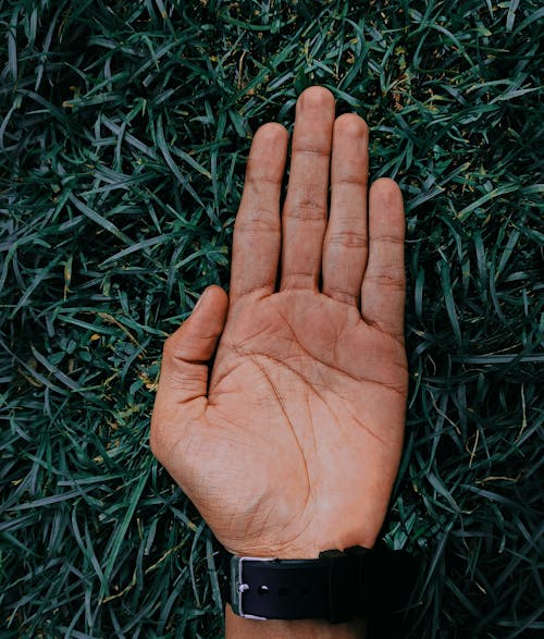 Free A Person's Hand Lying Flat on Green Grass Stock Photo