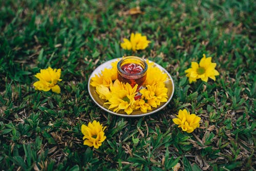 キャンドル, ディワリ, ヒンズー教の祭りの無料の写真素材