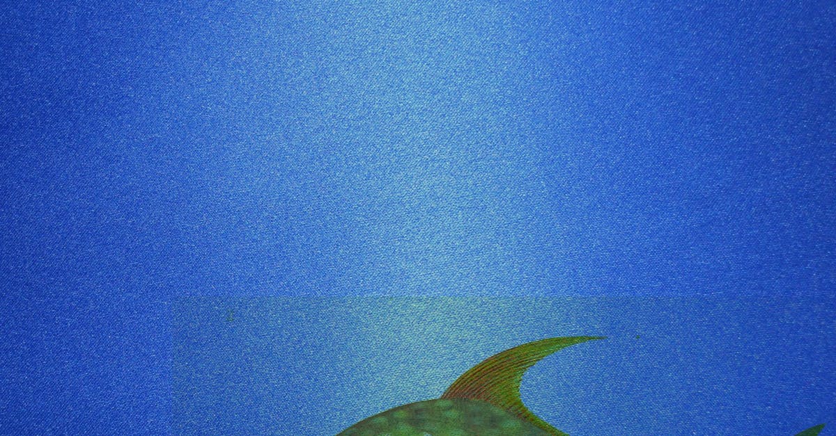 Free stock photo of background, blue, fish