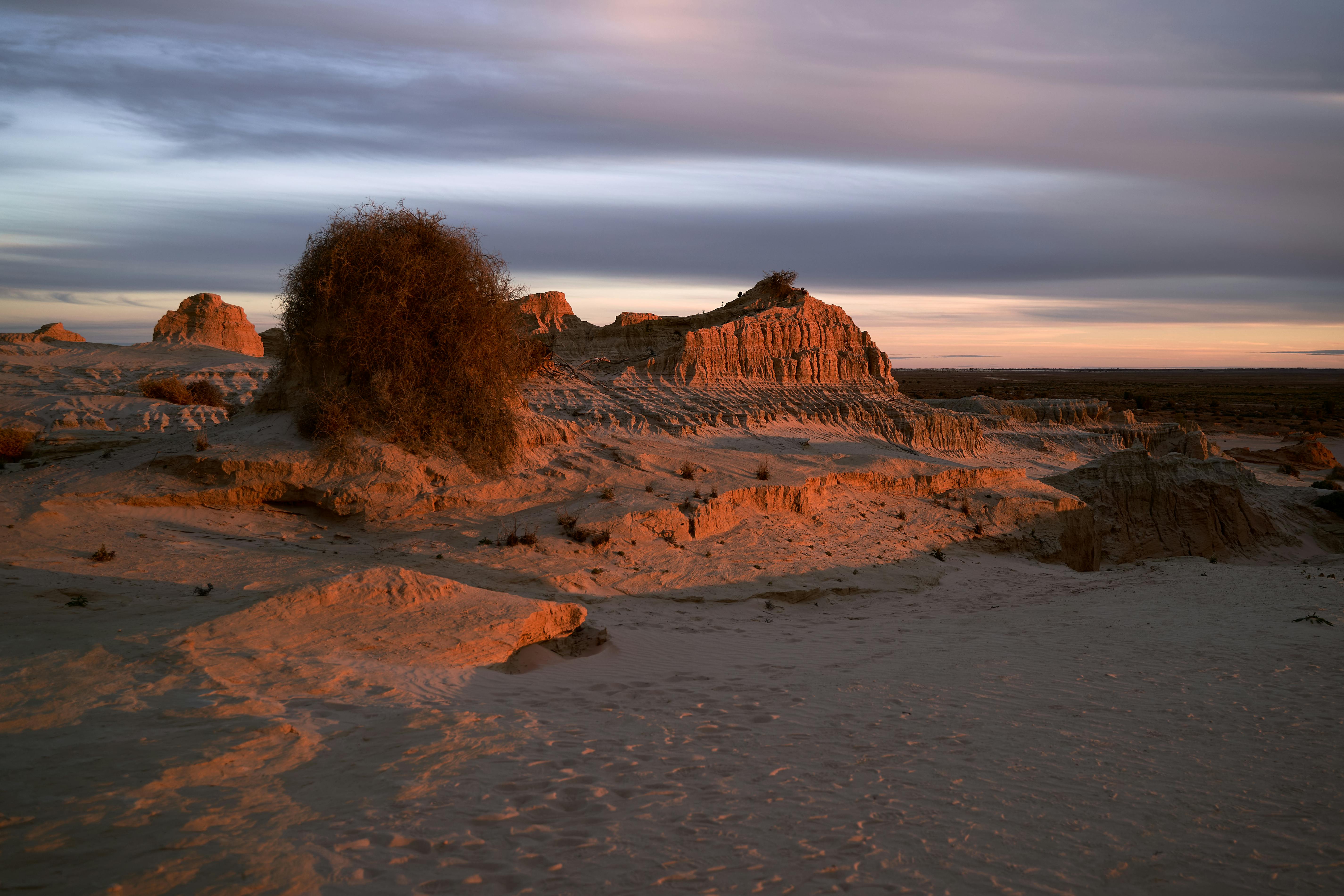 Explore the Outback by Camel