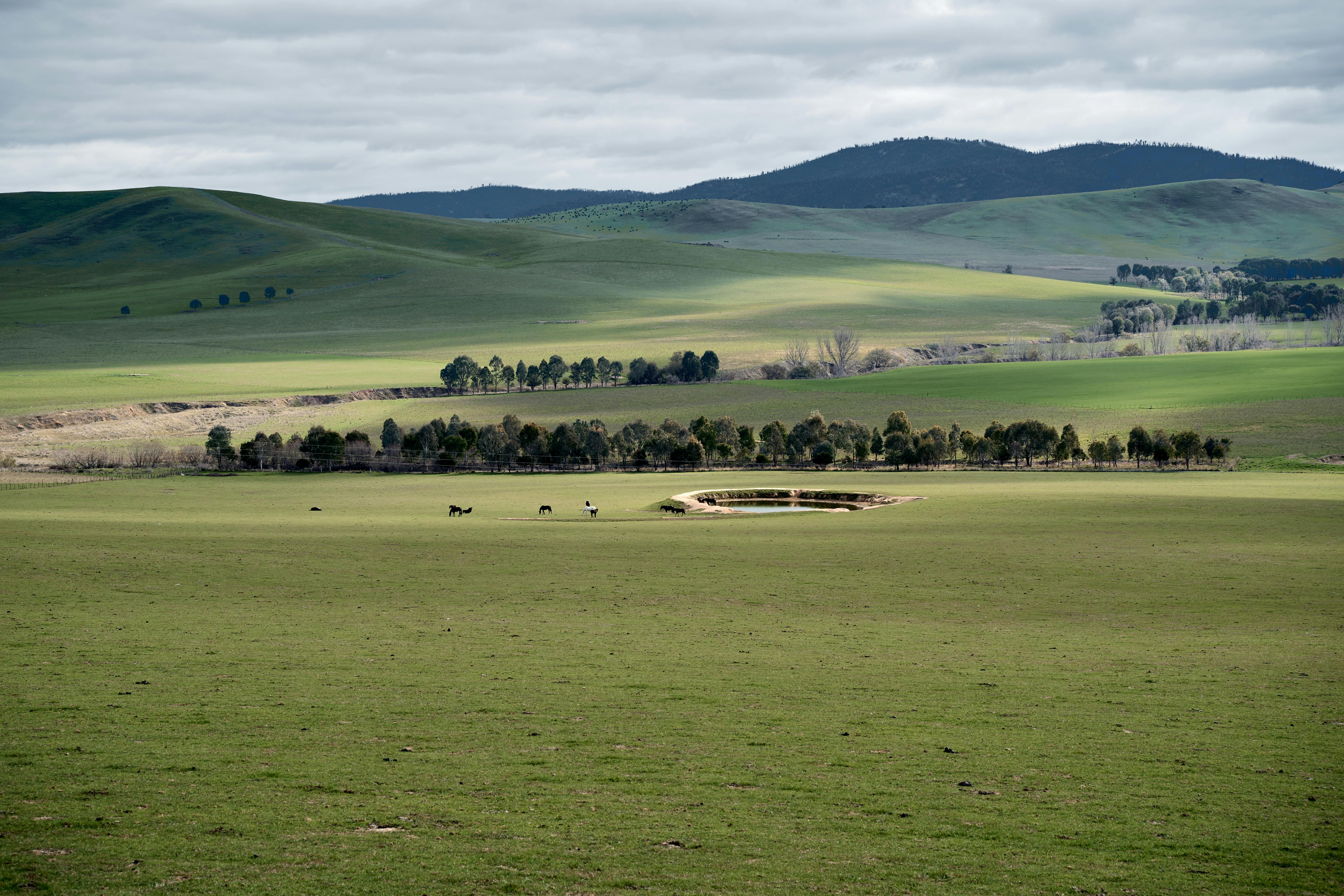 Rolling pasture, water and fences under a low Australian sky