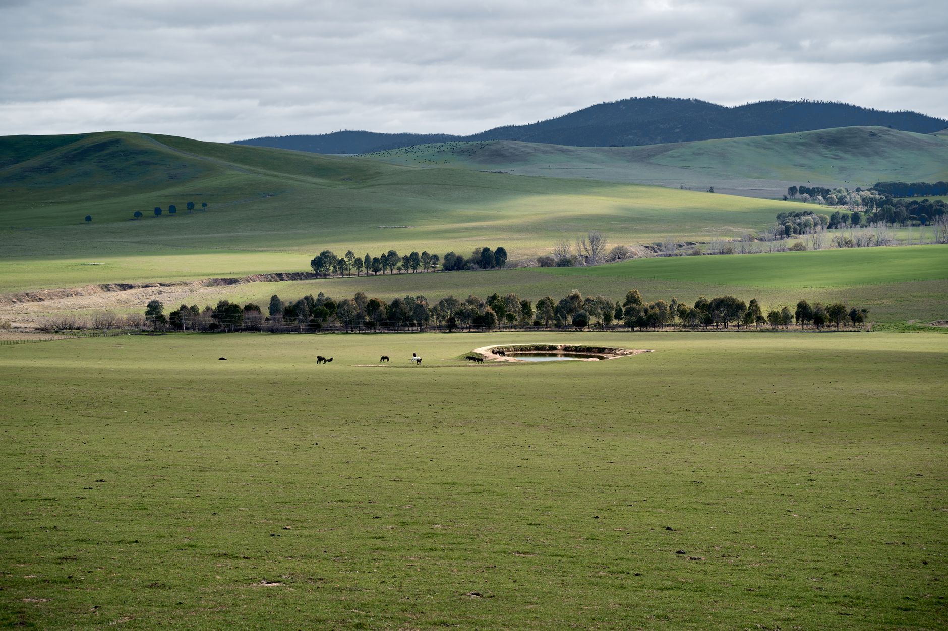 Rolling pasture, water and fences under a low Australian sky
