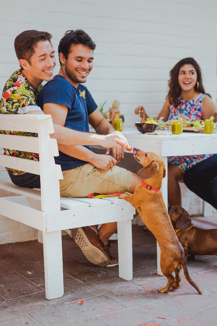 Happy Men Feeding A Dog