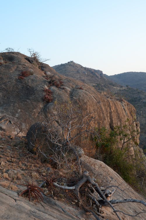 Imagine de stoc gratuită din bush veld, fața roșie, munți