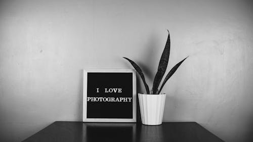 Foto stok gratis bingkai, dekorasi, hitam & putih