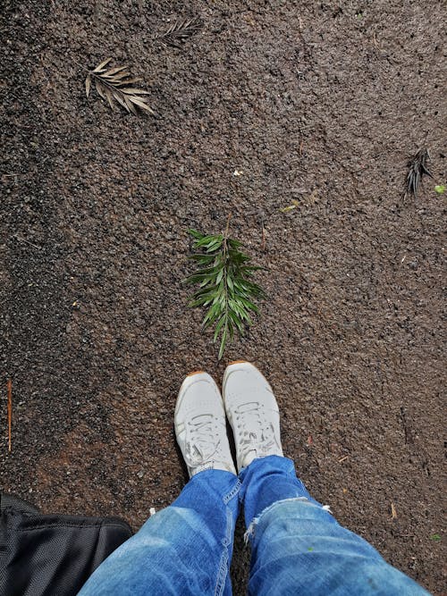 A Person Standing Near the Fallen Leaves