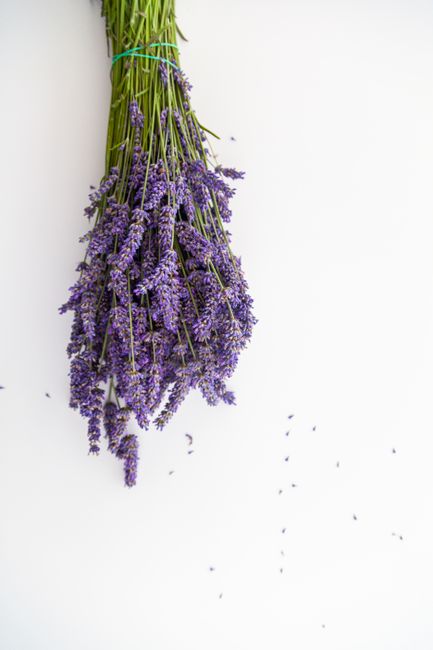 Upside-down lavender bouquet against a clean white surface, highlighting floral texture.