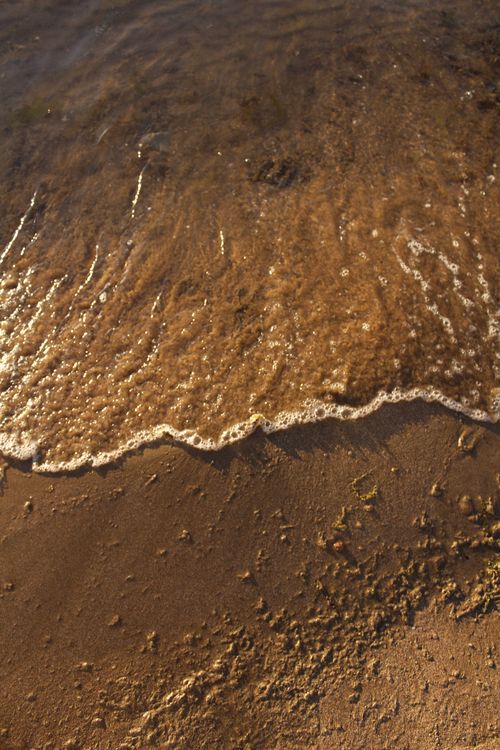Free Golden sands meet gentle waves on a serene beach, perfect for relaxation. Stock Photo