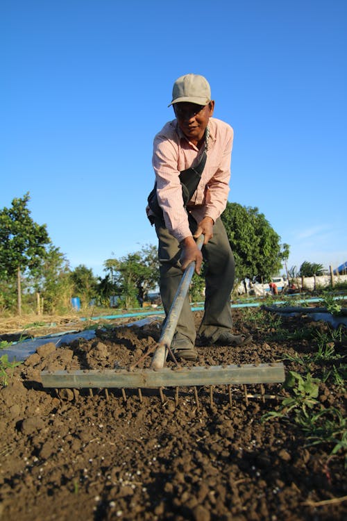 A Man with a Rake