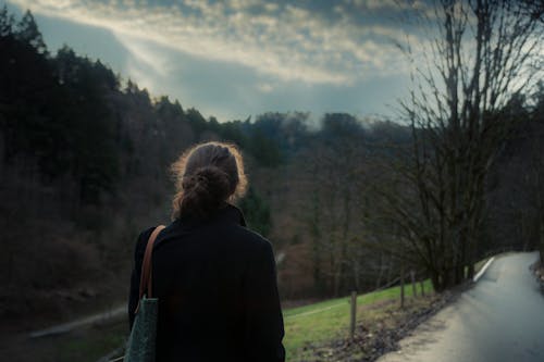 Gratis stockfoto met afzondering, blikveld, bomen