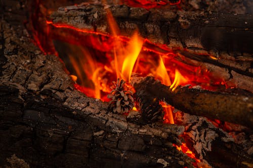 Kostenlos Kostenloses Stock Foto zu brand, brennholz, feuer Stock-Foto