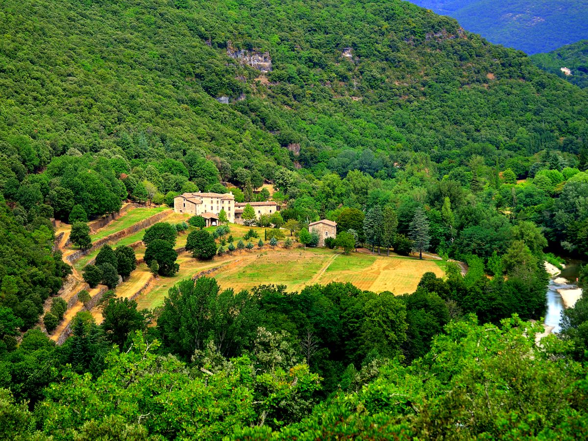 Primal Health Yoga Retreats France 2